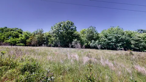 a view of a yard with a tree