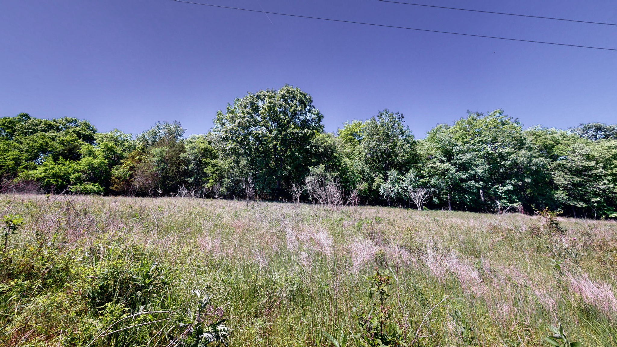 5 Peeples Court Madison, TN 37115 - Photo 13 of 31 a view of a yard with a tree
