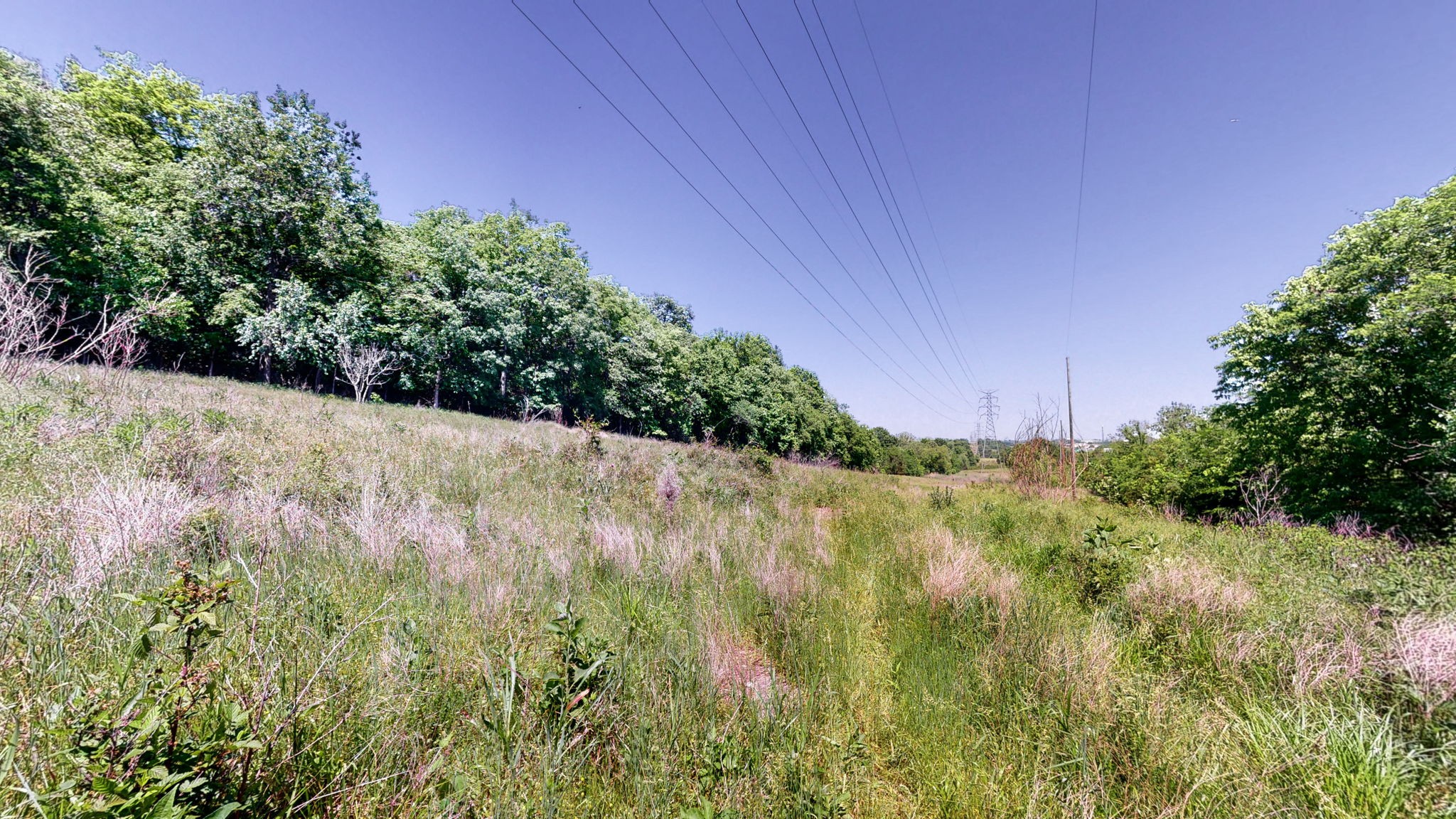 5 Peeples Court Madison, TN 37115 - Photo 14 of 31 a view of a yard