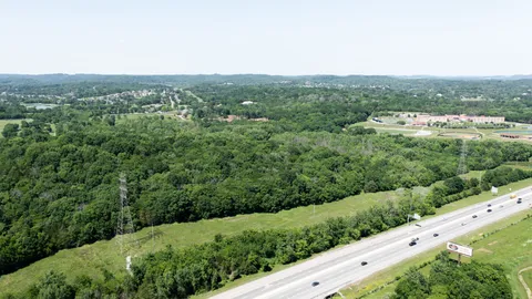 a view of a green field with lots of bushes