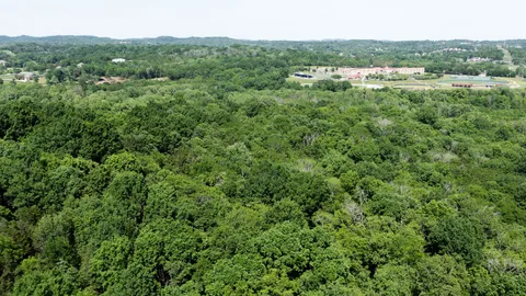 a view of a green field with lots of bushes