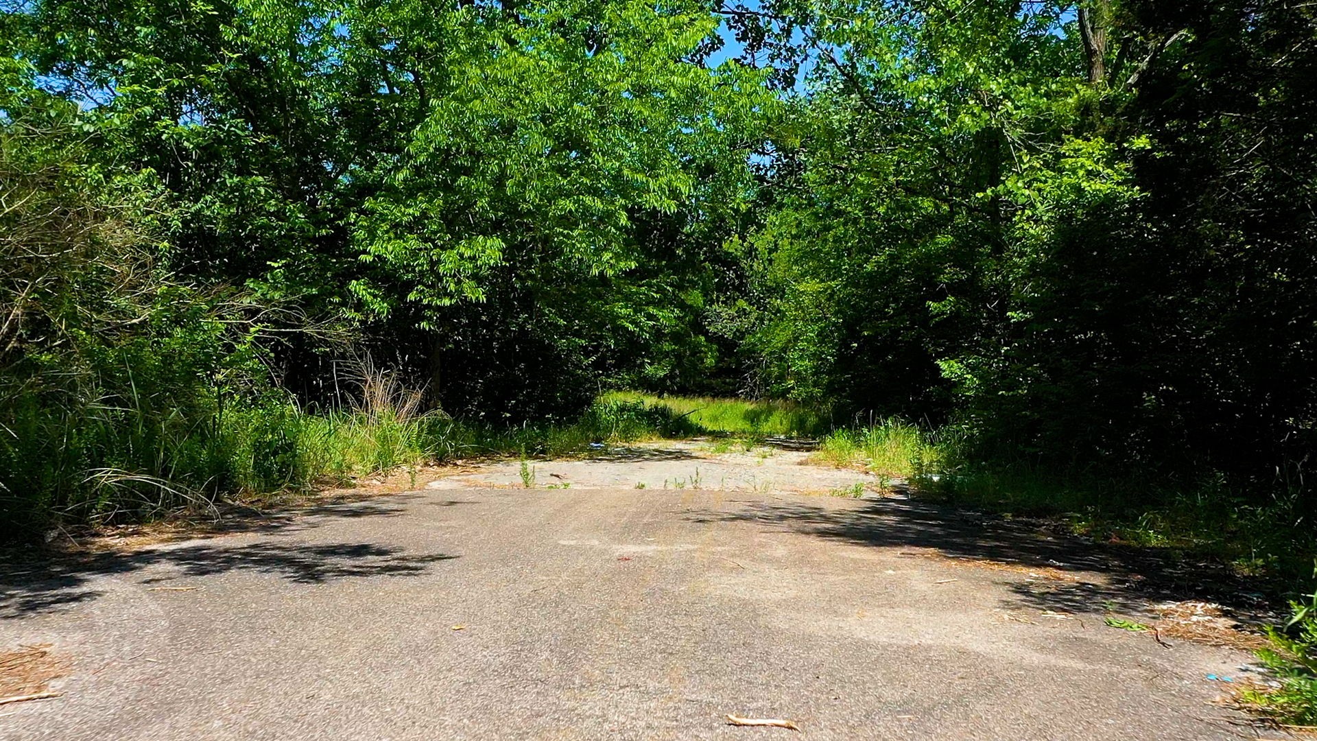 5 Peeples Court Madison, TN 37115 - Photo 22 of 31 a view of backyard of a house