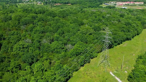a view of a lush green forest with lots of trees