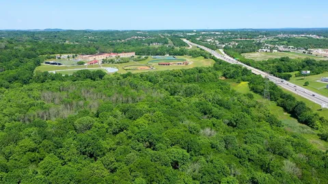 a view of a city with lush green forest