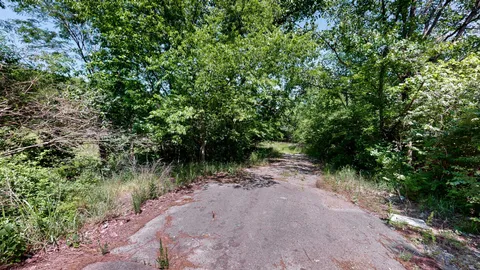 a big yard with lots of green space and deers
