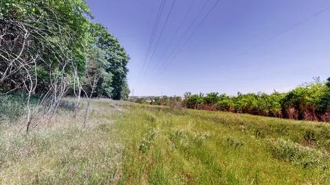 a view of a yard with a tree