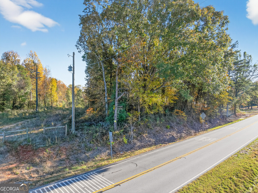 0 New Franklin Church Road Canon, GA 30520 - Photo 8 of 10