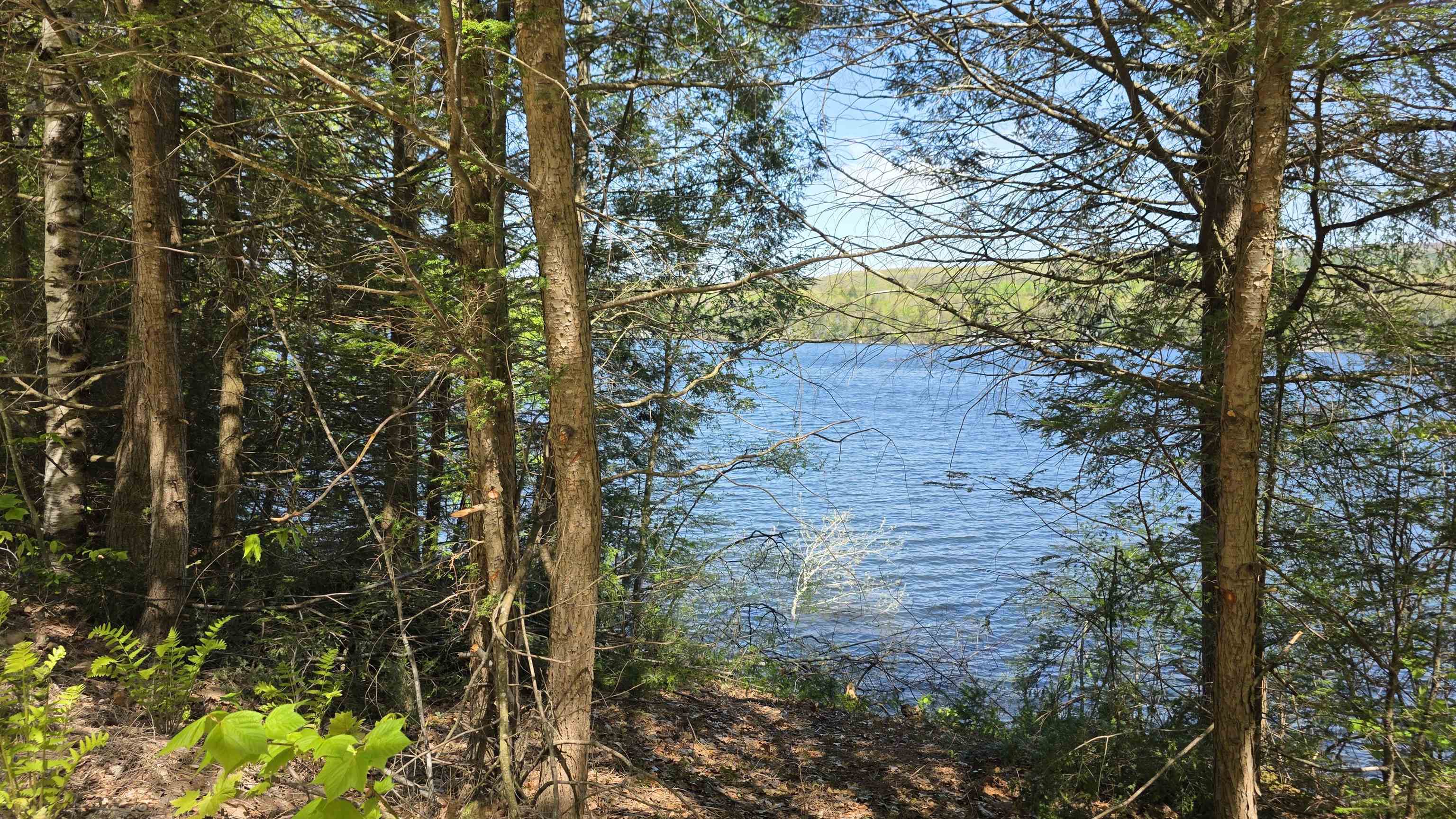 0 Loyd Lane Harrisville, NH 03450 - Photo 17 of 17