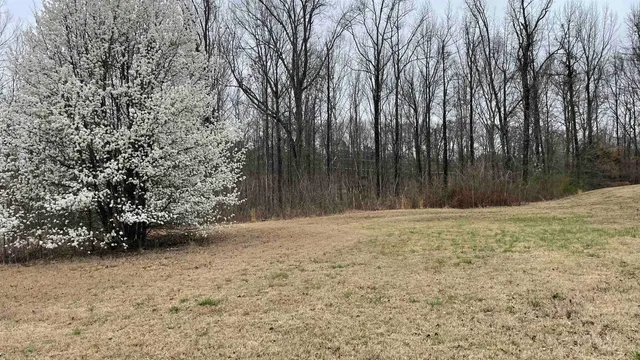 $49,900 | 305 Nicolet Drive, Memphis, TN 38109