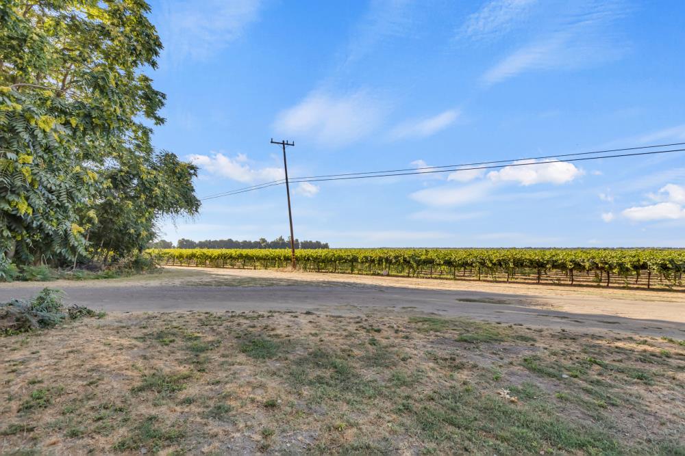 53140 South River Road Clarksburg, CA 95612 - Photo 43 of 66