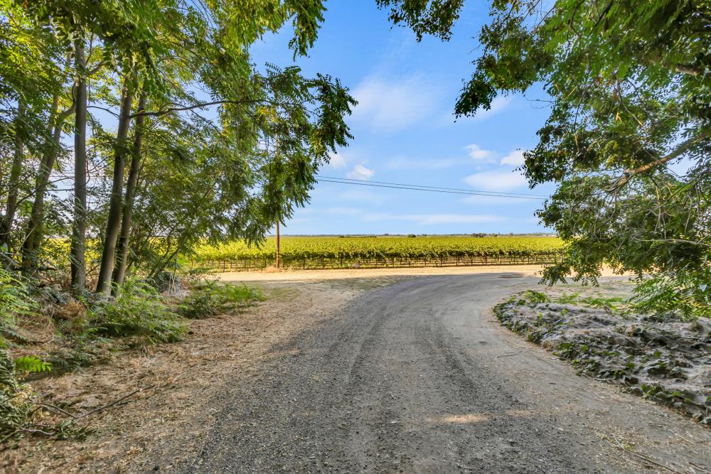 53140 South River Road Clarksburg, CA 95612 - Photo 49 of 66