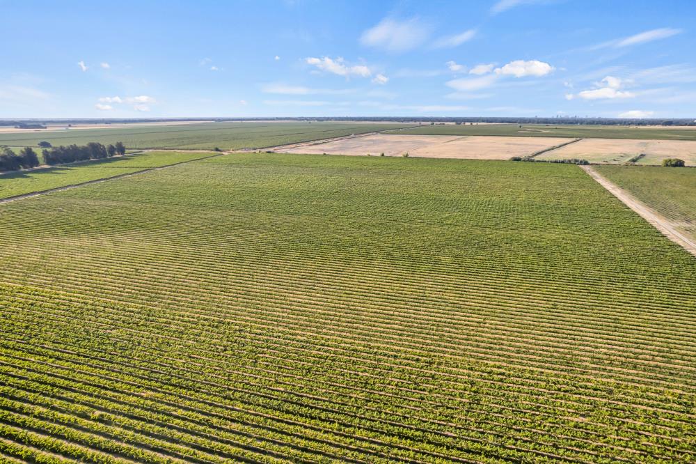 53140 South River Road Clarksburg, CA 95612 - Photo 60 of 66