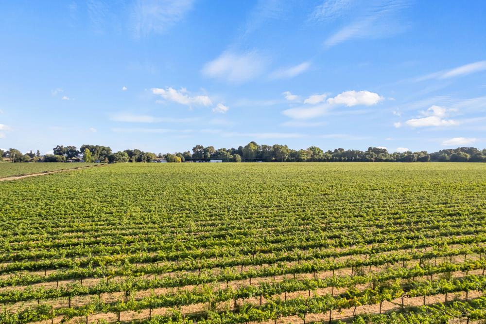 53140 South River Road Clarksburg, CA 95612 - Photo 62 of 66