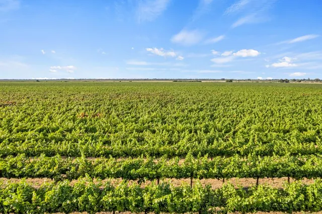 $2,302,000 | 53140 South River Road, Clarksburg, CA 95612