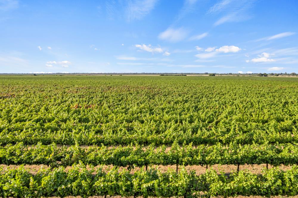 53140 South River Road Clarksburg, CA 95612 - Photo 63 of 66