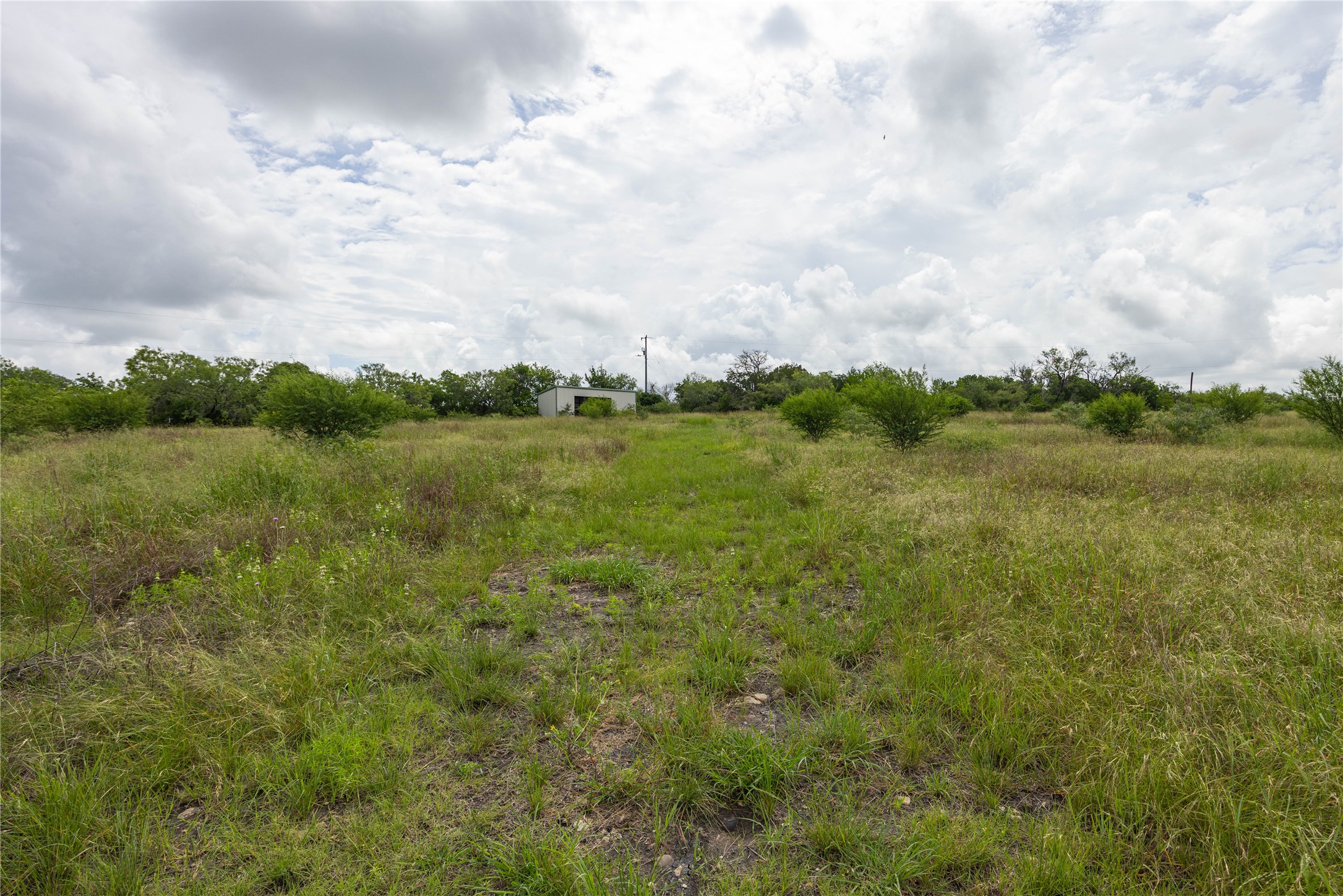 6868 Pfeil Road Schertz, TX 78154 - Photo 10 of 14 a view of a field with trees in the background