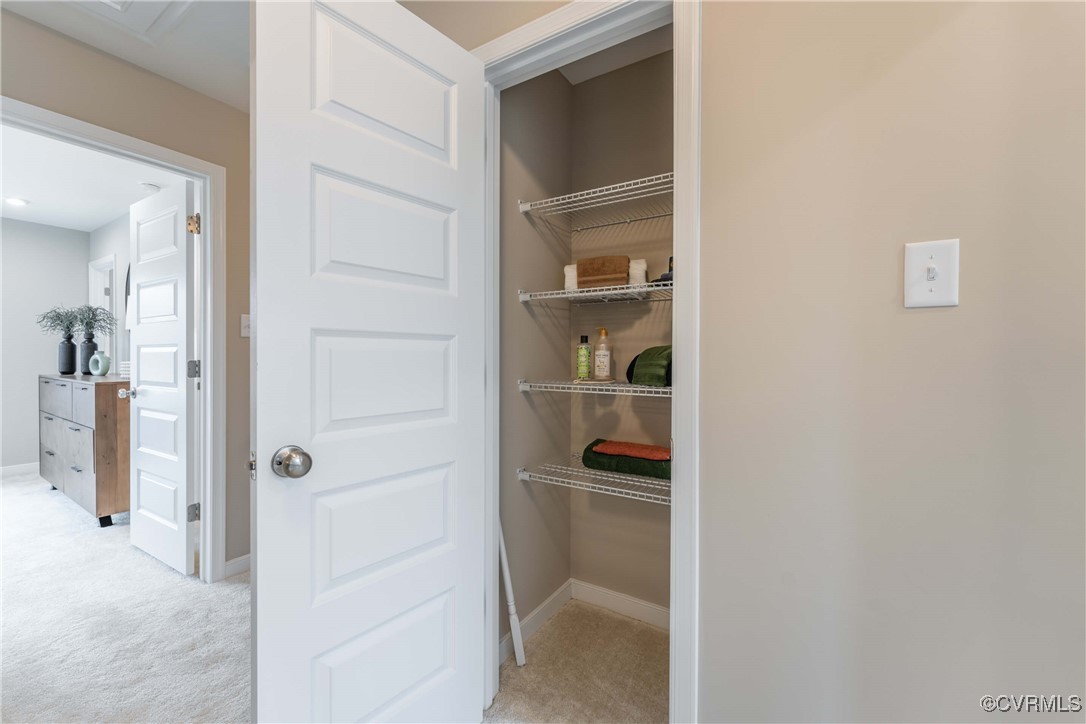 233 Greenpark Road Sandston, VA 23150 - Photo 15 of 30 a view of a walk in closet