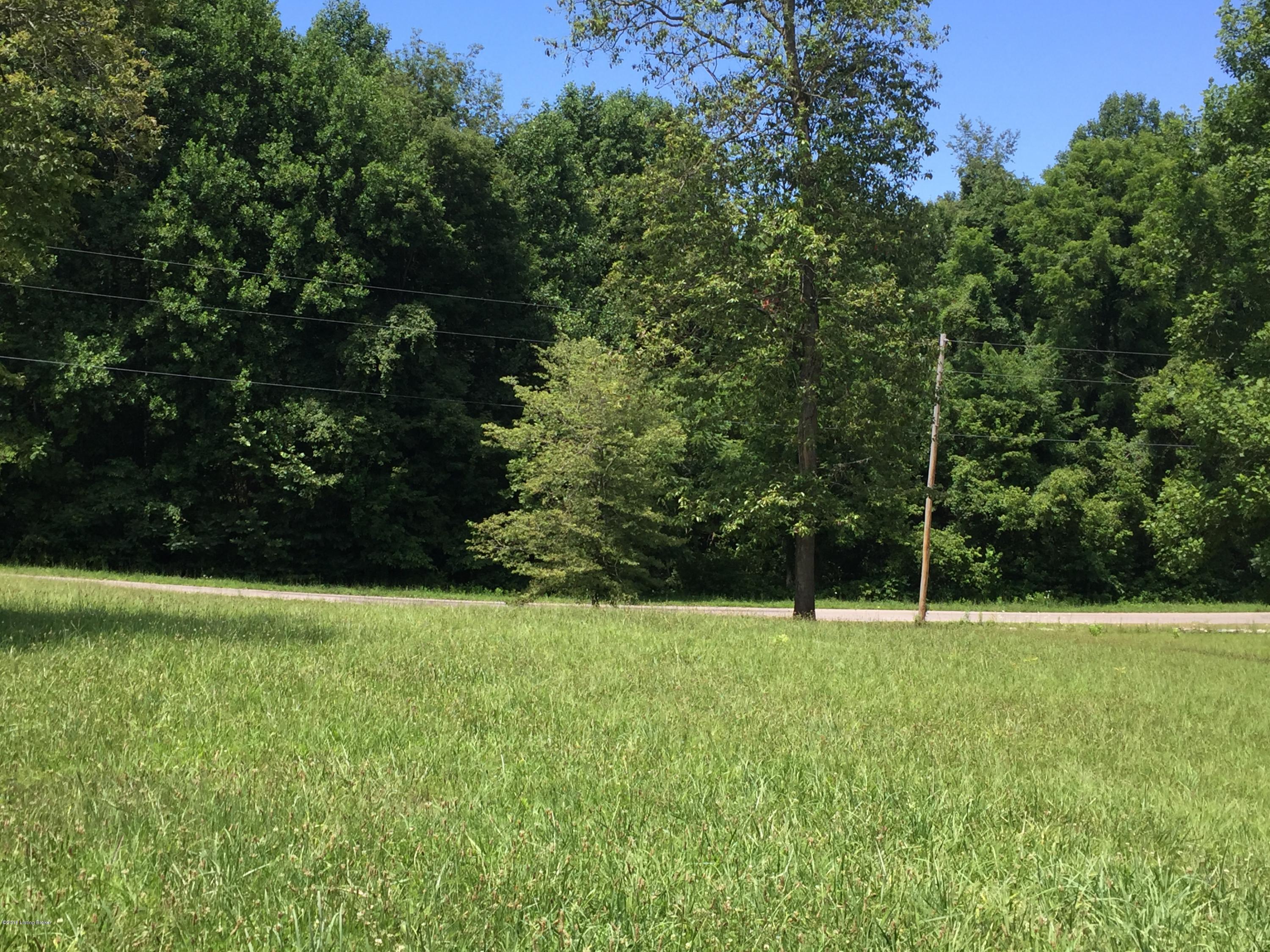 555 Eagle's Nest Road Ekron, KY 40117 - Photo 6 of 25 IMG_9415