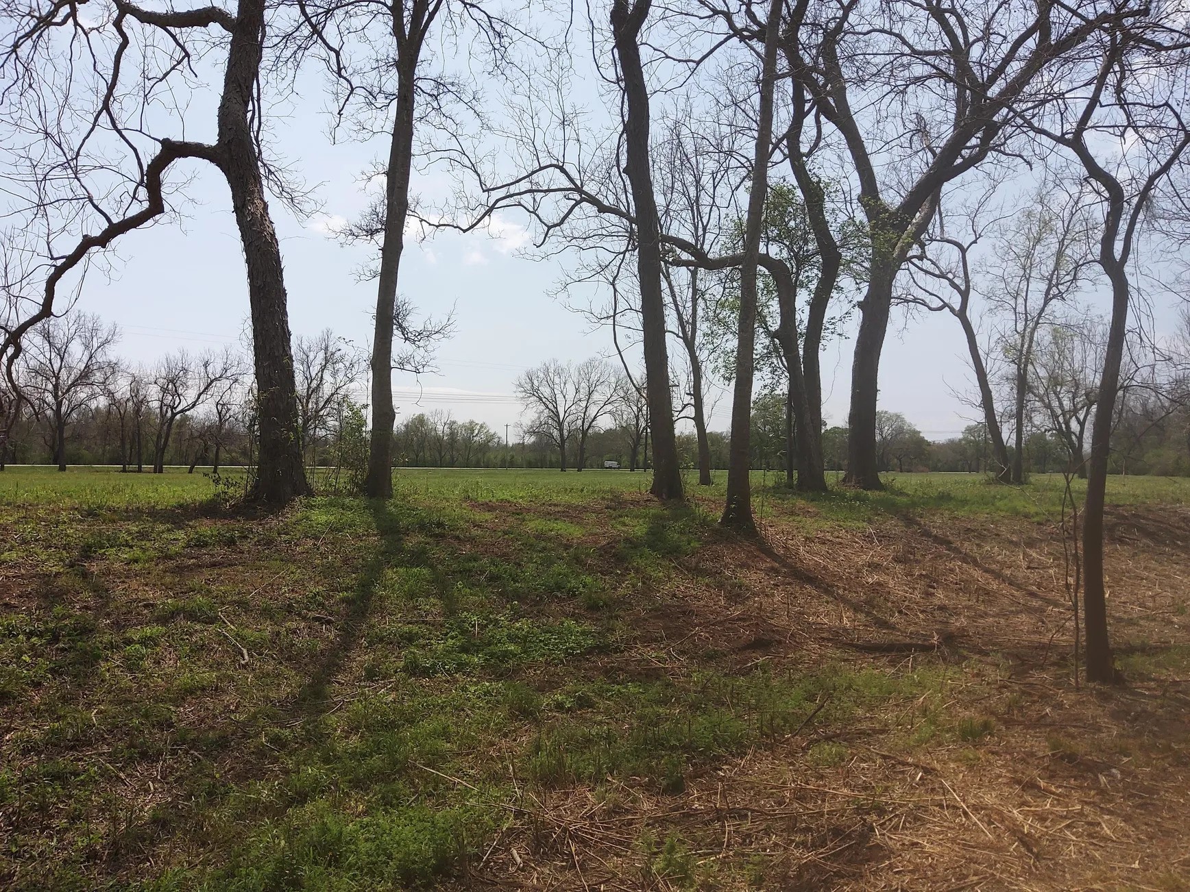 Lot 1 FM 521 Road Angleton, TX 77515 - Photo 21 of 34