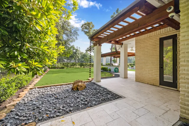 a view of a backyard with plants and a tree