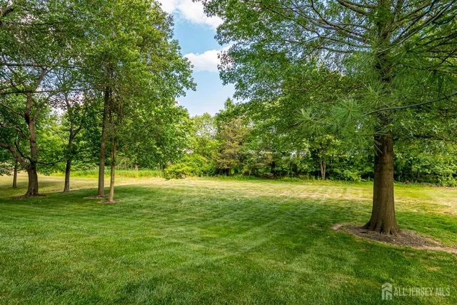 a big yard with trees in the background