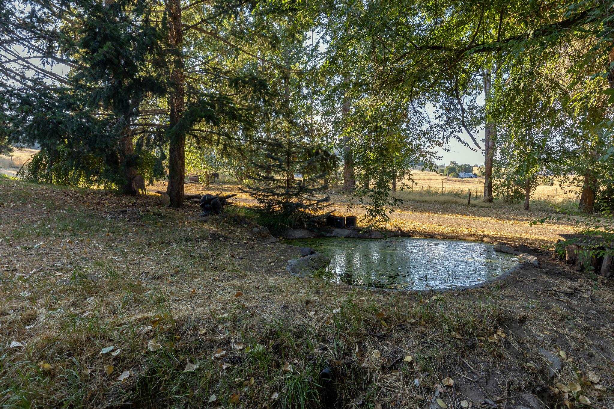 5516 South Wallbridge Road Deer Park, WA 99006 - Photo 12 of 40 Gallery Image 12