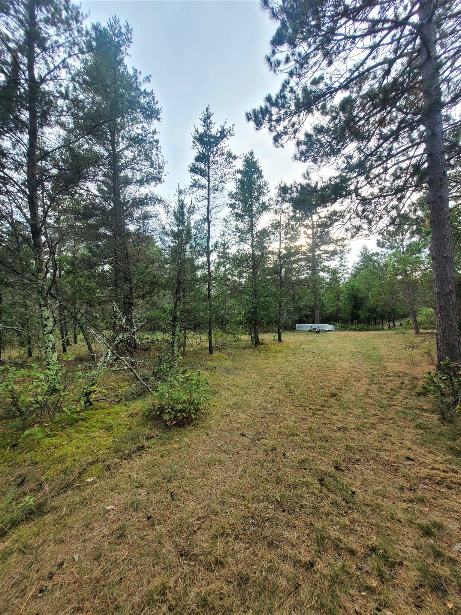 0 Blueberry Road Gordon, WI 54838 - Photo 6 of 35 Gallery Image 6