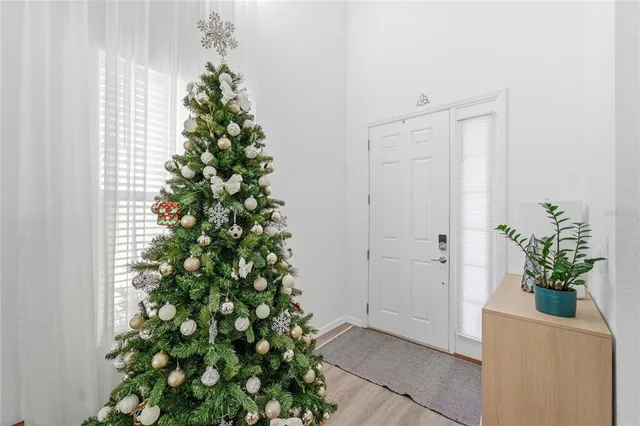 a potted plant sitting in front of a door