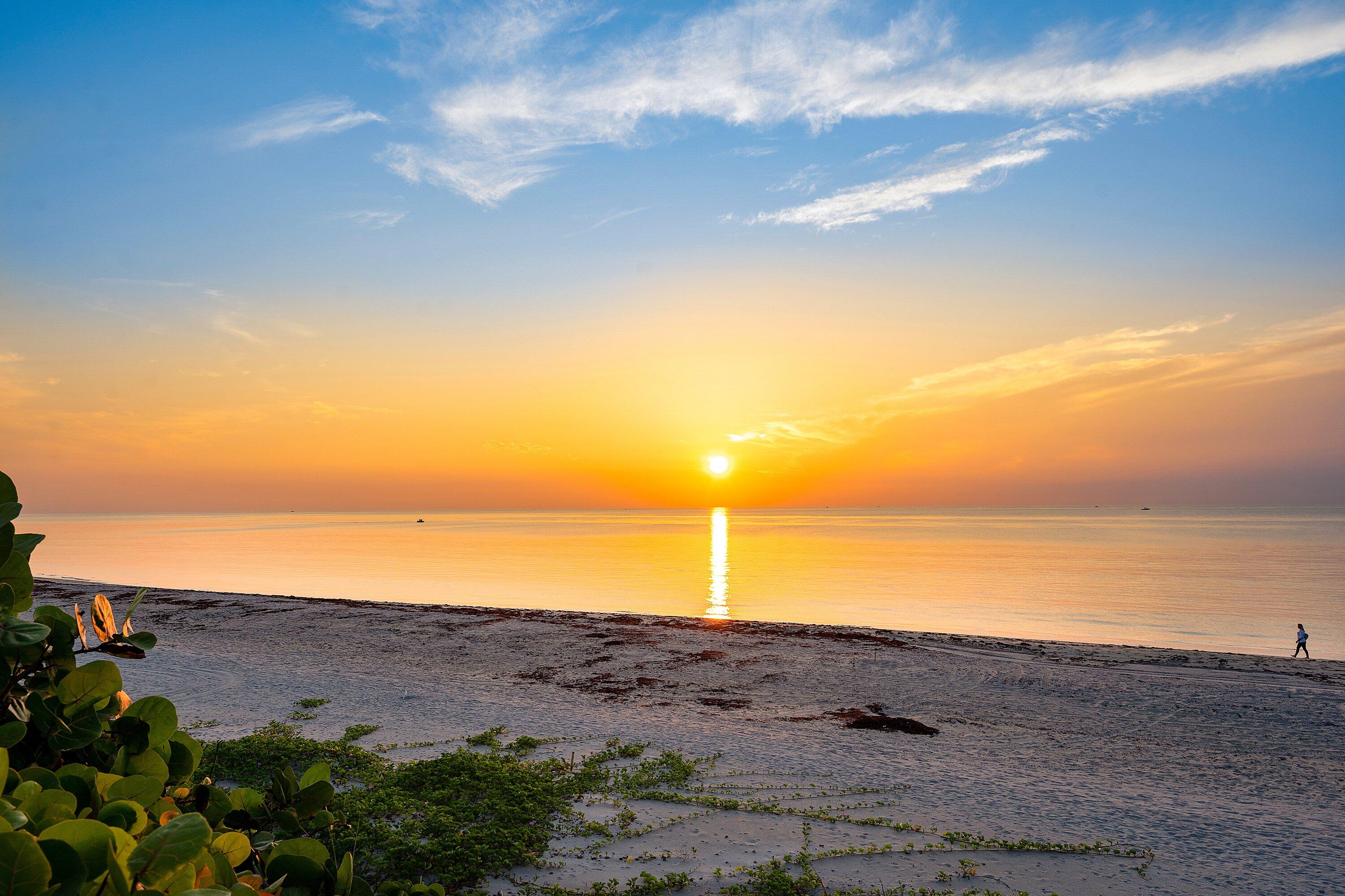 a view of beach and ocean