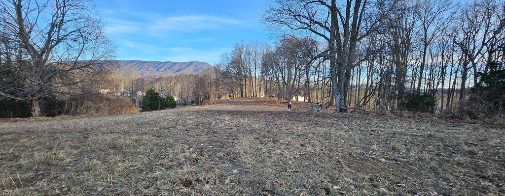 1284 Purcell Road, Unit 16 Lebanon, VA 24266 - Photo 10 of 67 Gallery Image 10