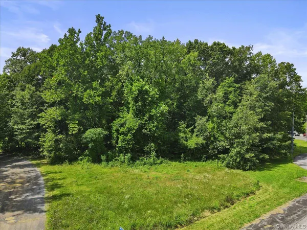 a view of a lush green space