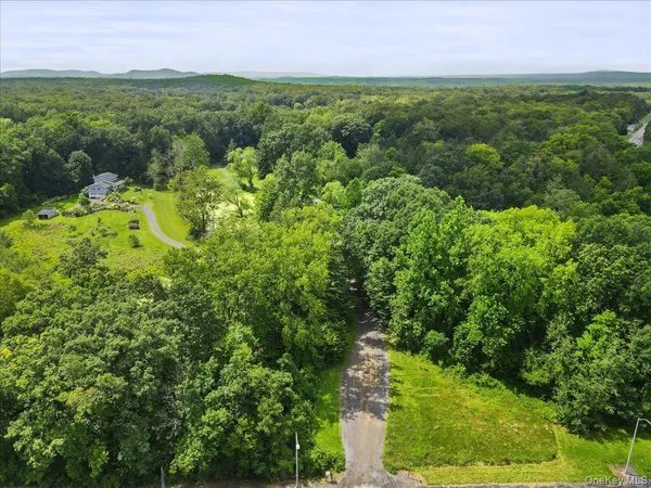 a view of a city with lush green forest