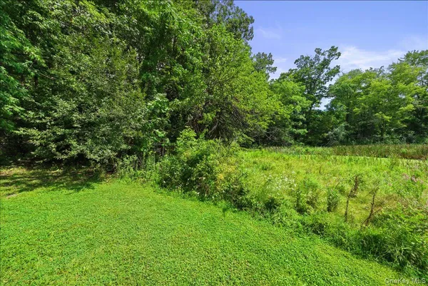 a view of a garden