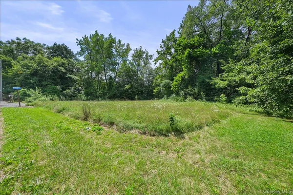 a view of a green field with lots of bushes