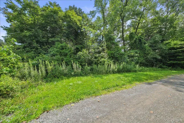 a view of a yard with a tree