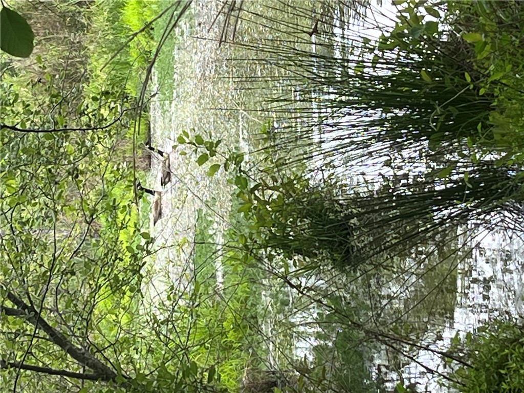 107 Humphrey Wright Road Honea Path, SC 29654 - Photo 7 of 23 A tranquil pond reflecting lush greenery offers a serene natural escape.