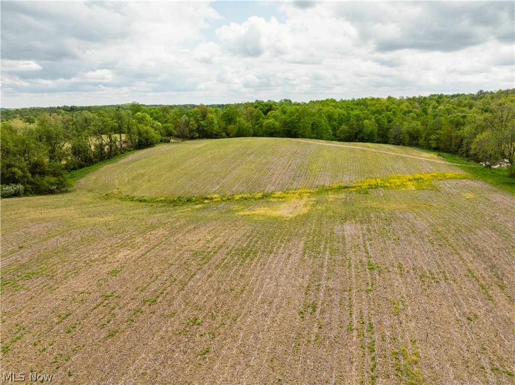 Garver Road Mansfield, OH 44903 - Photo 7 of 48