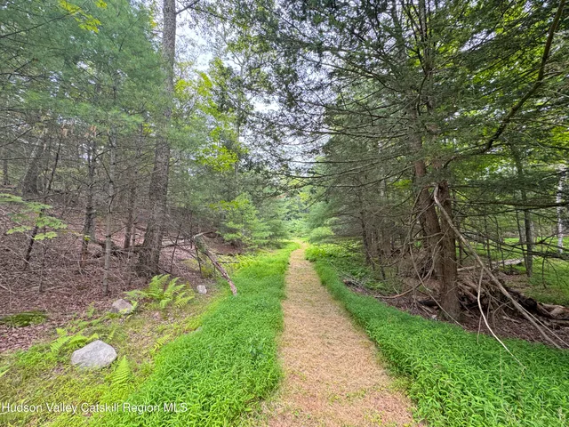 a view of a pathway with a yard