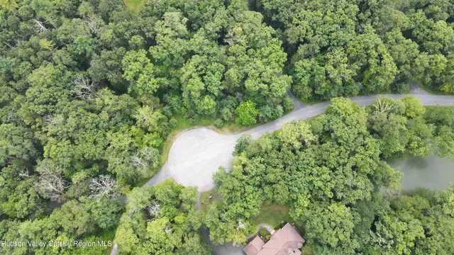 a view of a garden with a plants