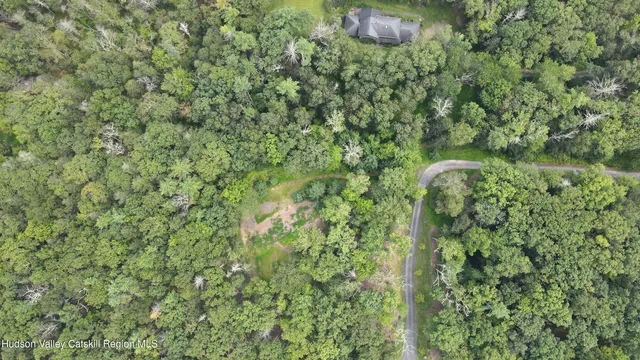 a map view of a forest