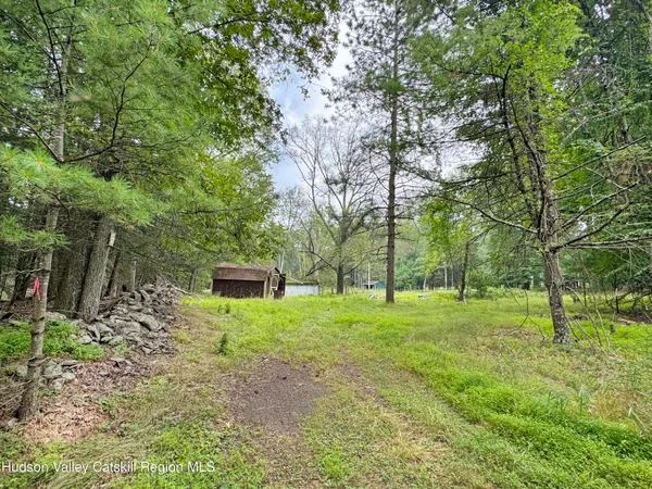 a view of a backyard with large trees