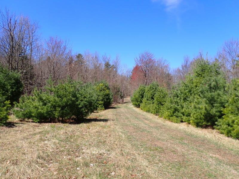 0 Highland Road Keeseville, NY 12944 - Photo 5 of 23