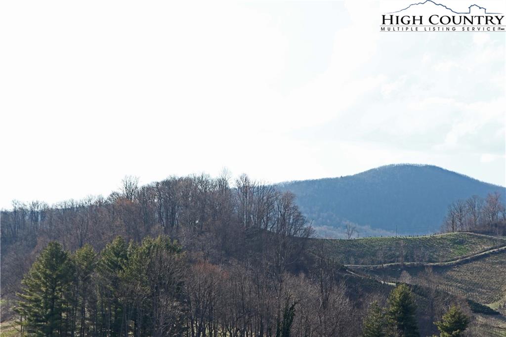 Walter Ridge West Jefferson, NC 28694 - Photo 2 of 2 a view of a dry field