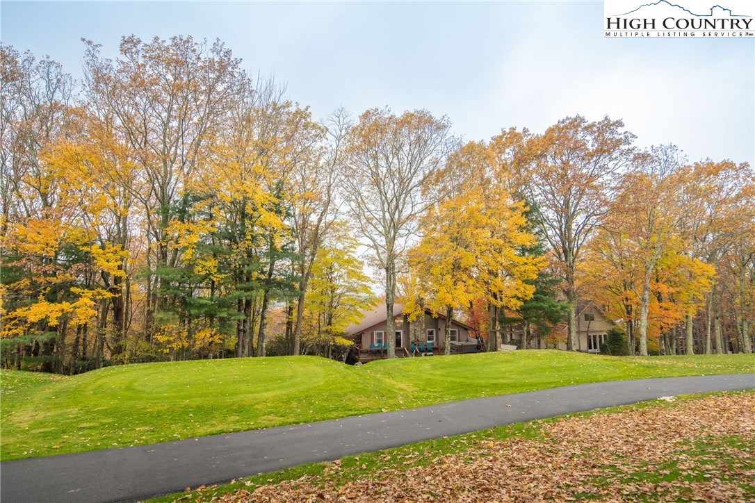 501 St Andrews Road Beech Mountain, NC 28604 - Photo 36 of 46 a view of a park with large trees
