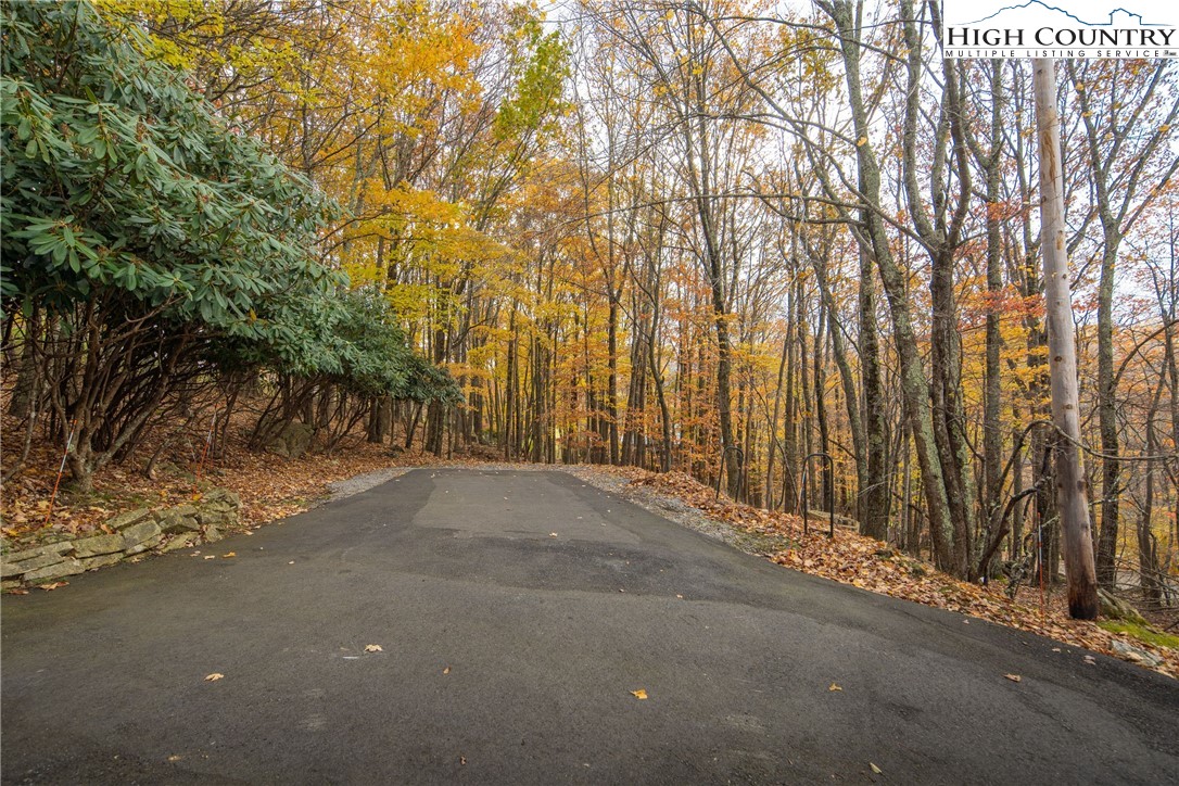 501 St Andrews Road Beech Mountain, NC 28604 - Photo 41 of 46 a view of a street with trees on both side of it