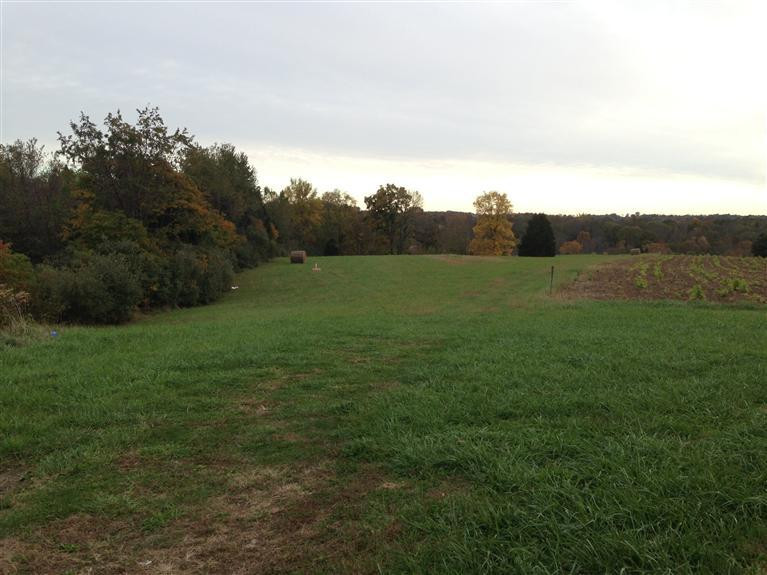 1620 Crittenden Mt Zion Road Dry Ridge, KY 41035 - Photo 7 of 14 Gallery Image 7