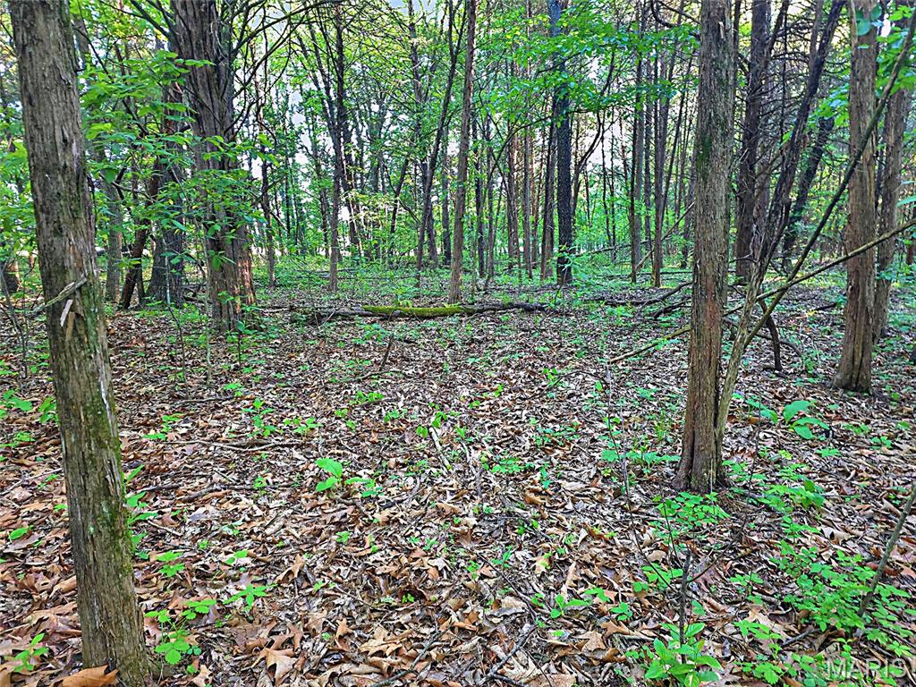 2 Blackwell Heights Road Blackwell, MO 63626 - Photo 25 of 43