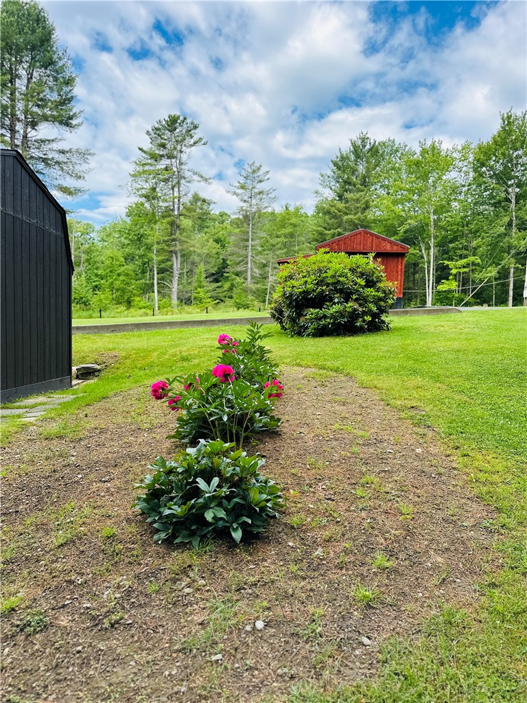385 Lyon Road Bainbridge, NY 13733 - Photo 11 of 25