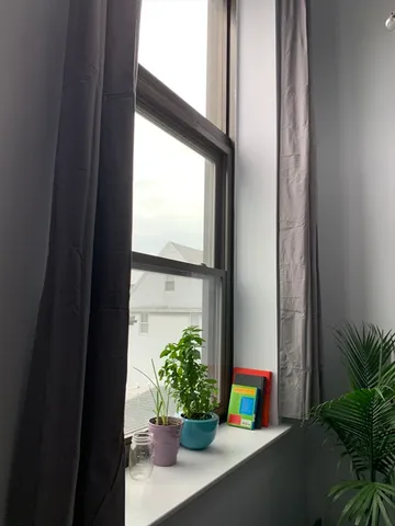 a room with furniture and a potted plant