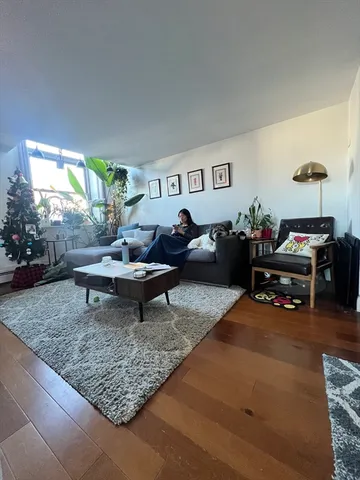 a living room with furniture and a rug
